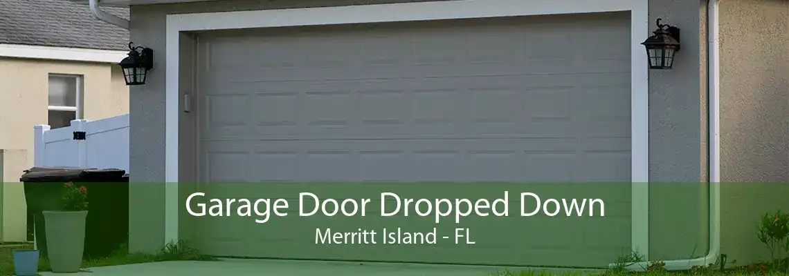 Garage Door Dropped Down Merritt Island - FL