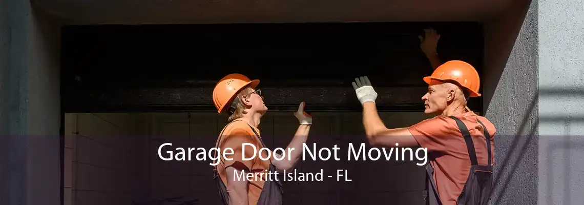 Garage Door Not Moving Merritt Island - FL